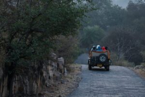 Ranthambore Safari Booking